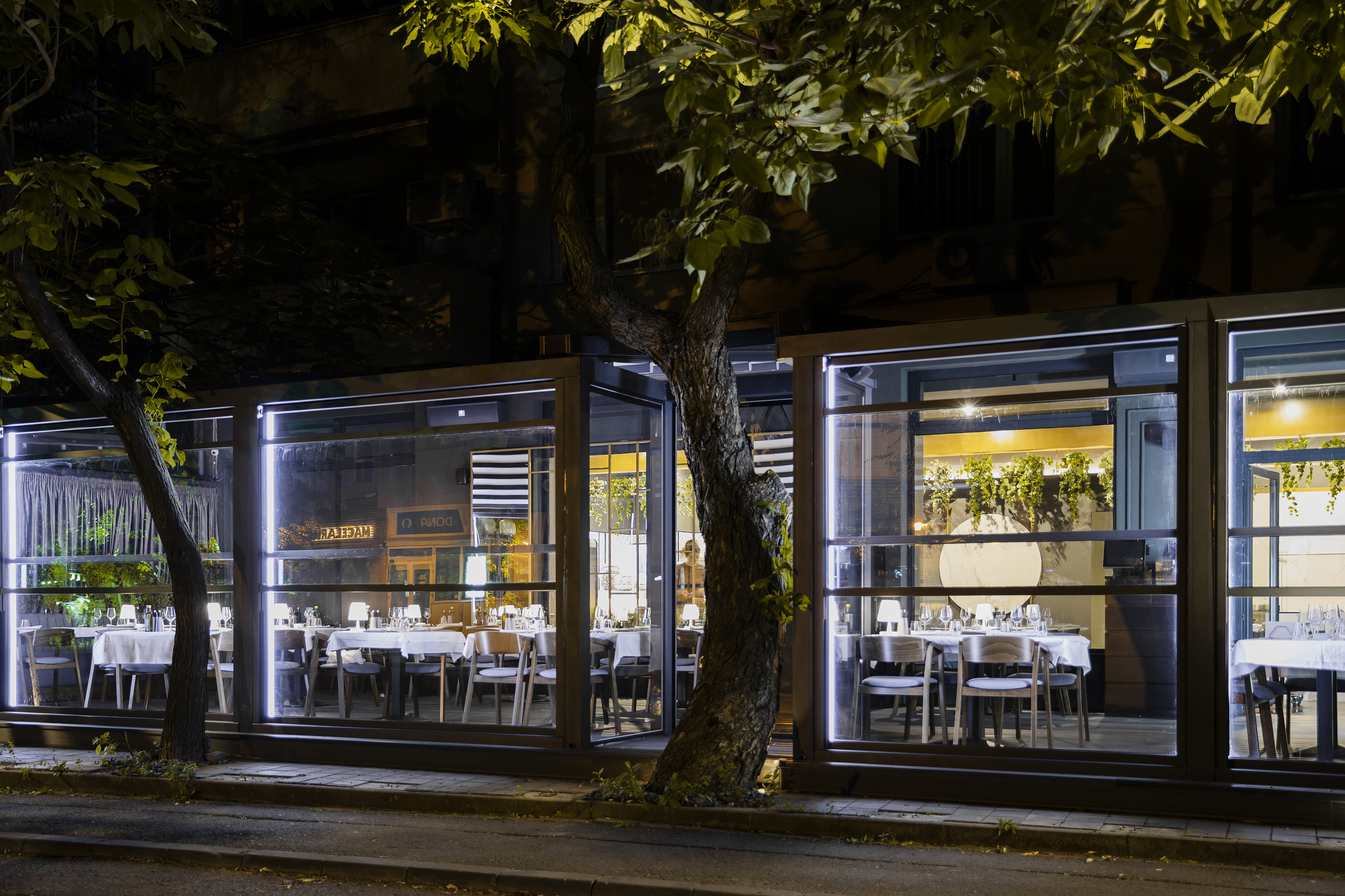 Amenajare Restaurant Fish House