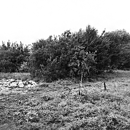birouri.tunari